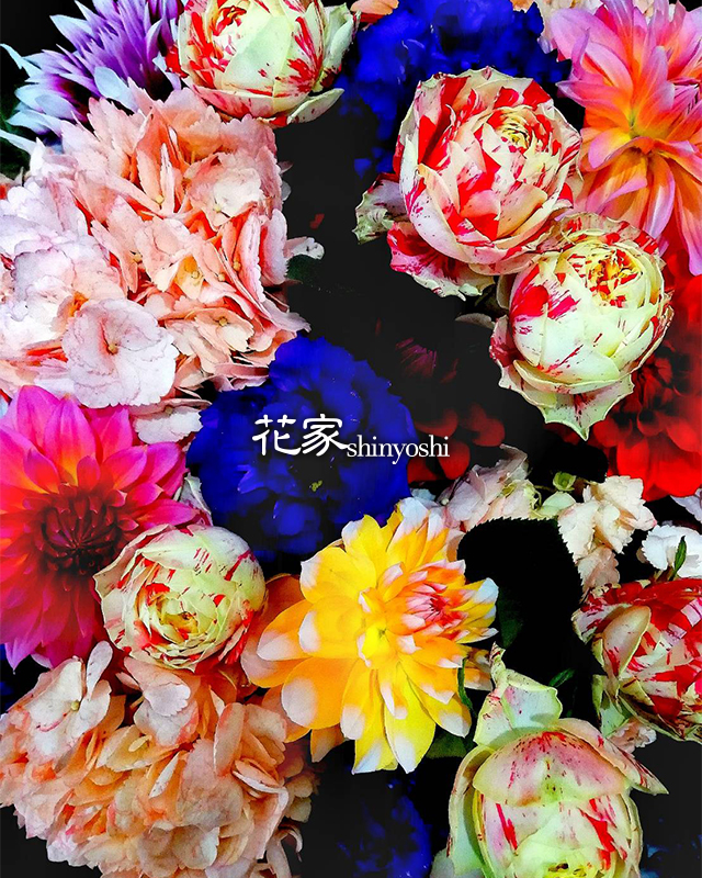 花屋 花家shinyoshi Top 福岡県北九州 市小倉北区のフラワーショップです フラワースタンド バルーン フラワーアレンジメント 胡蝶蘭などギフト商品も取り扱っております