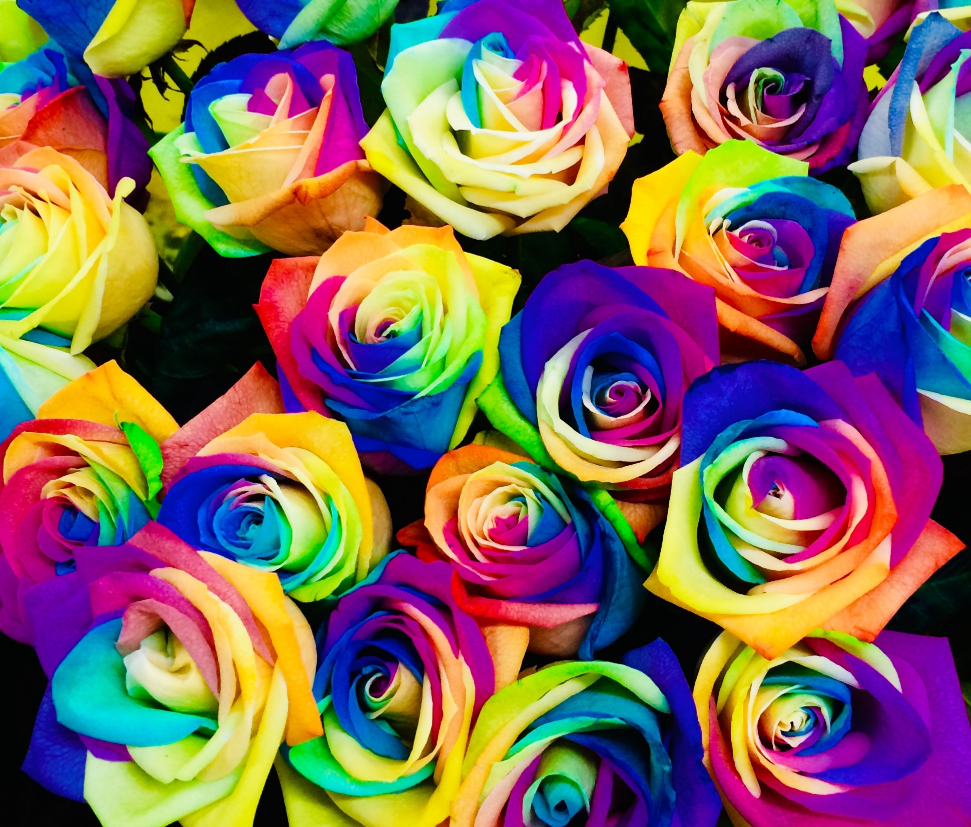 花屋 Hanaya １００本バラ レインボーローズ プロポーズの花束 記念日の花束 結婚記念日の花束 特別な花束 １００本 １０８本 バラ ローズ 薔薇 七色のバラ 七色の薔薇 Rainbowrose Rainbowrose